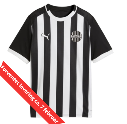 Chang Hjemmebanetrøje